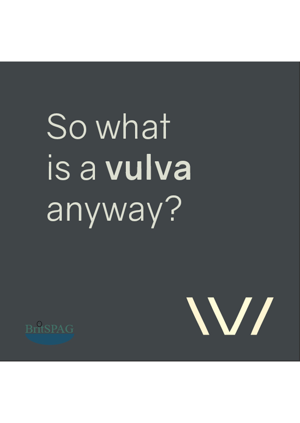 So what is a vulva anyway
