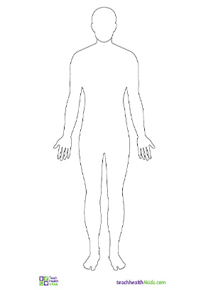 Body outline
